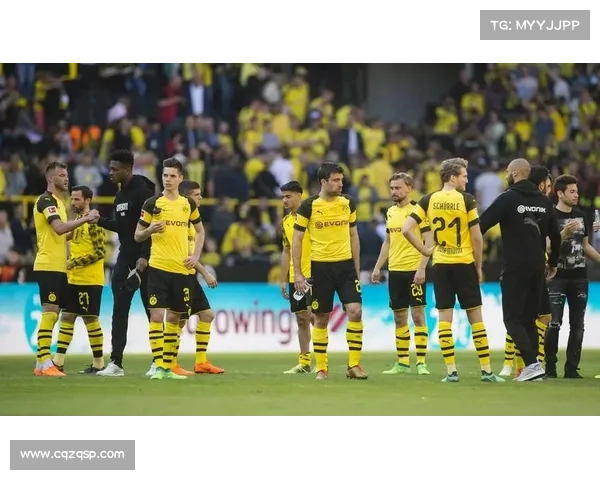 全面解析欧冠五大赛事级别你必须了解的关键内幕指南全攻略精要篇