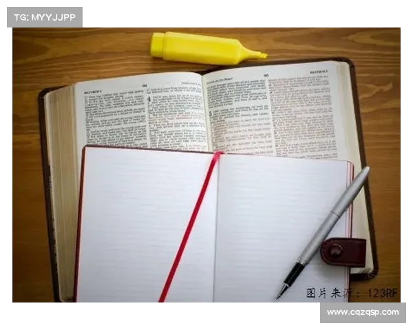 德甲球队之间的关系与竞争动态解析及其影响因素探讨